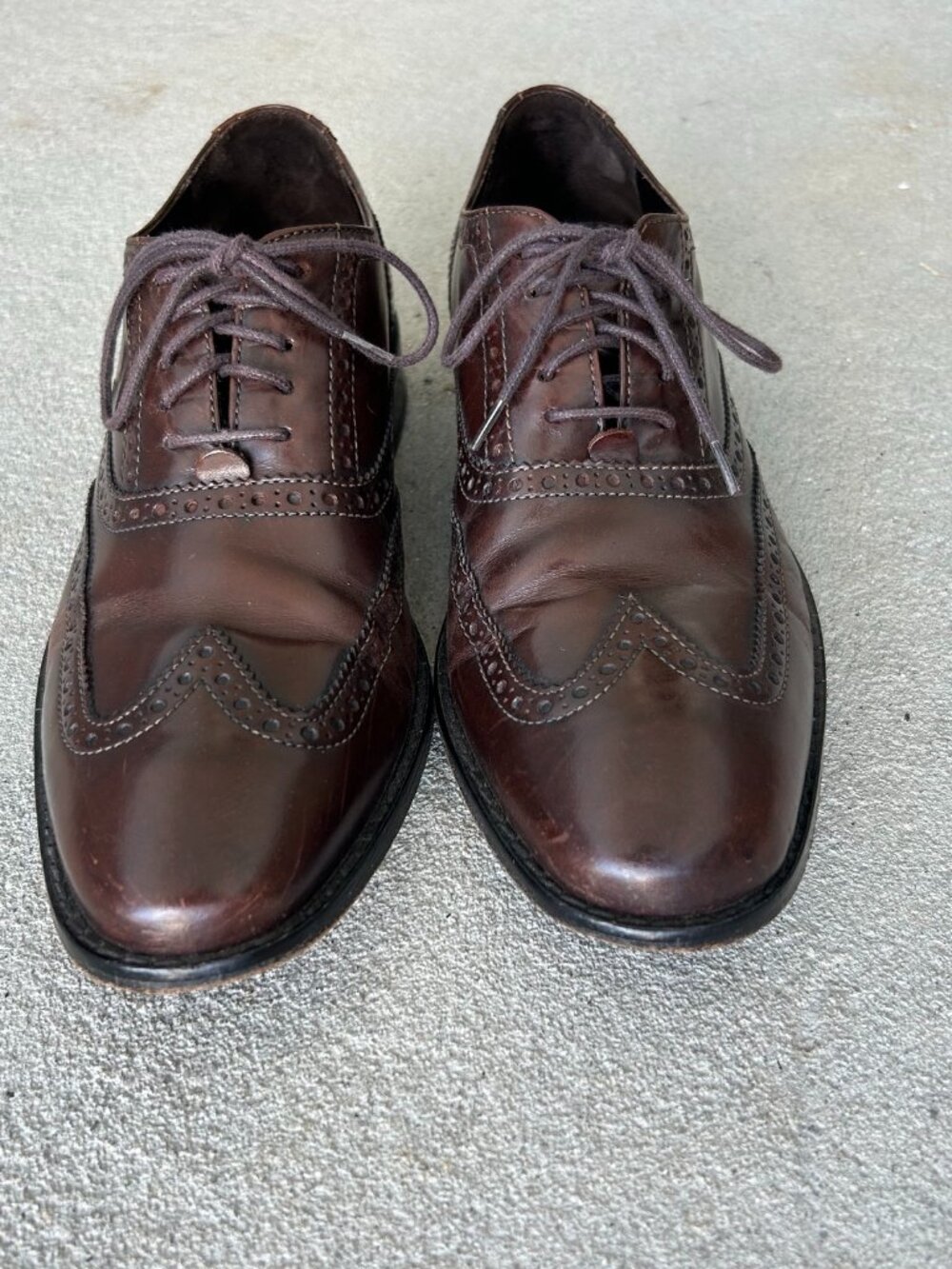 Cole Haan Men's Dark Brown Wingtip Oxfords size 8 M